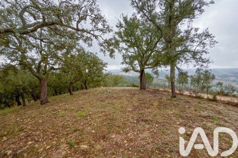Land zum Verkauf in Galaroza, Huelva, Spanien 35000 m2 Nr. 185087 - Foto 18