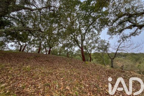 Land zum Verkauf in Galaroza, Huelva, Spanien 35000 m2 Nr. 185087 - Foto 26