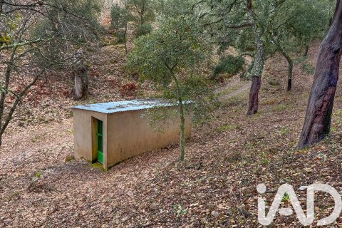 Land zum Verkauf in Galaroza, Huelva, Spanien 35000 m2 Nr. 185087 - Foto 11