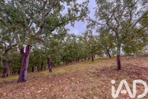 Land zum Verkauf in Galaroza, Huelva, Spanien 35000 m2 Nr. 185087 - Foto 15
