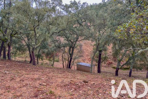 Land zum Verkauf in Galaroza, Huelva, Spanien 35000 m2 Nr. 185087 - Foto 8