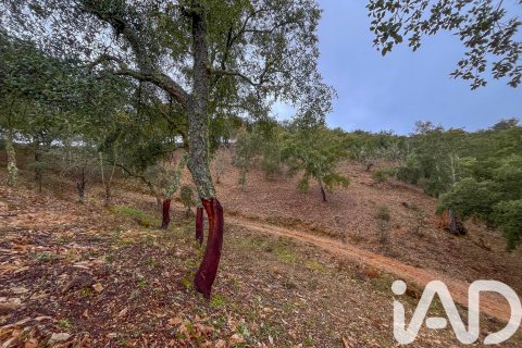 Land zum Verkauf in Galaroza, Huelva, Spanien 35000 m2 Nr. 185087 - Foto 30