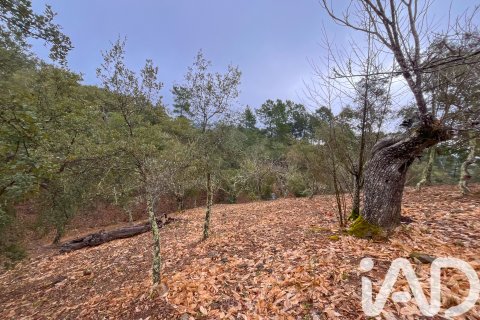 Land zum Verkauf in Galaroza, Huelva, Spanien 35000 m2 Nr. 185087 - Foto 27