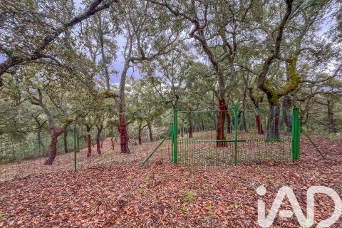 Land zum Verkauf in Galaroza, Huelva, Spanien 35000 m2 Nr. 185087 - Foto 4