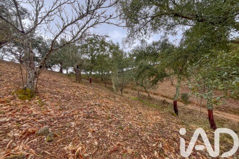 Land zum Verkauf in Galaroza, Huelva, Spanien 35000 m2 Nr. 185087 - Foto 29