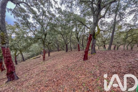 Land zum Verkauf in Galaroza, Huelva, Spanien 35000 m2 Nr. 185087 - Foto 14