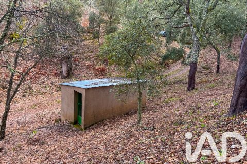 Land plot in Galaroza, Huelva, Spain 35000 sq.m. No. 185087