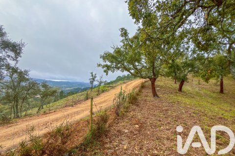 Land zum Verkauf in Galaroza, Huelva, Spanien 35000 m2 Nr. 185087 - Foto 21
