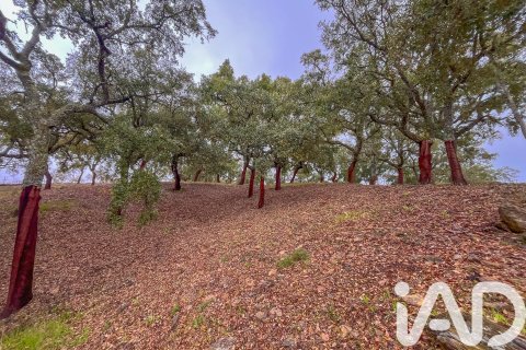 Land zum Verkauf in Galaroza, Huelva, Spanien 35000 m2 Nr. 185087 - Foto 24