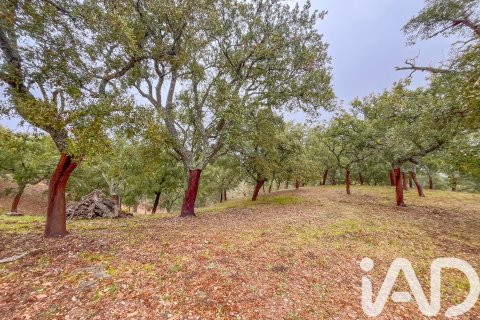 Land zum Verkauf in Galaroza, Huelva, Spanien 35000 m2 Nr. 185087 - Foto 22