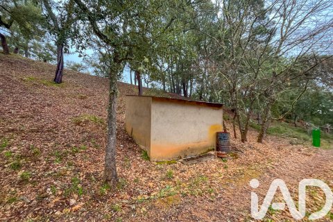 Land zum Verkauf in Galaroza, Huelva, Spanien 35000 m2 Nr. 185087 - Foto 9