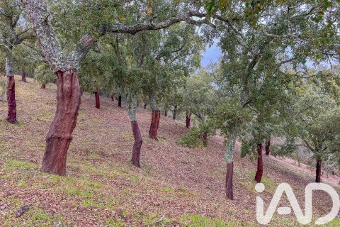 Land zum Verkauf in Galaroza, Huelva, Spanien 35000 m2 Nr. 185087 - Foto 20