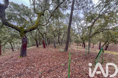 Land zum Verkauf in Galaroza, Huelva, Spanien 35000 m2 Nr. 185087 - Foto 6
