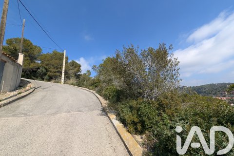 Продажа земельного участка в Кунит, Таррагона, Испания 3014м2 №185086 - фото 13