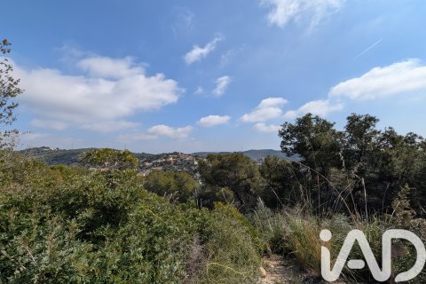 Продажа земельного участка в Кунит, Таррагона, Испания 3014м2 №185086 - фото 5