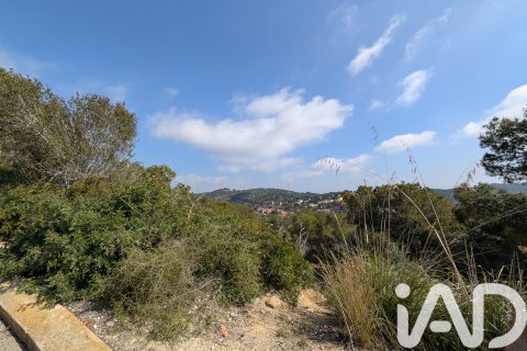 Продажа земельного участка в Кунит, Таррагона, Испания 3014м2 №185086 - фото 6