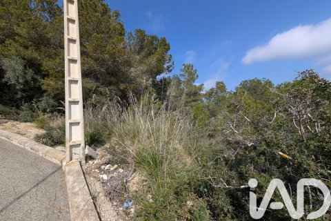 Продажа земельного участка в Кунит, Таррагона, Испания 3014м2 №185086 - фото 24