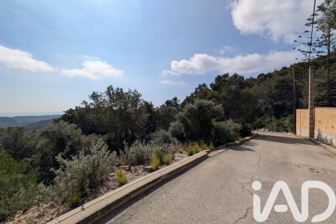 Продажа земельного участка в Кунит, Таррагона, Испания 3014м2 №185086 - фото 8