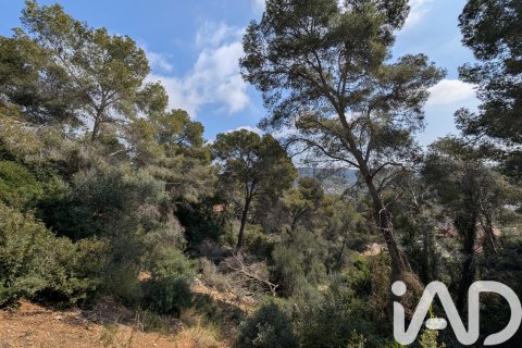 Продажа земельного участка в Кунит, Таррагона, Испания 3014м2 №185086 - фото 16
