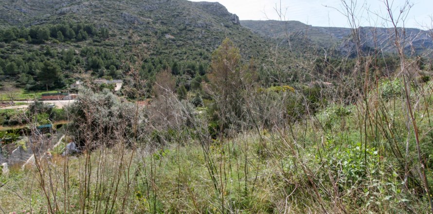 Land in Pedreguer, Alicante, Spanien Nr. 183949
