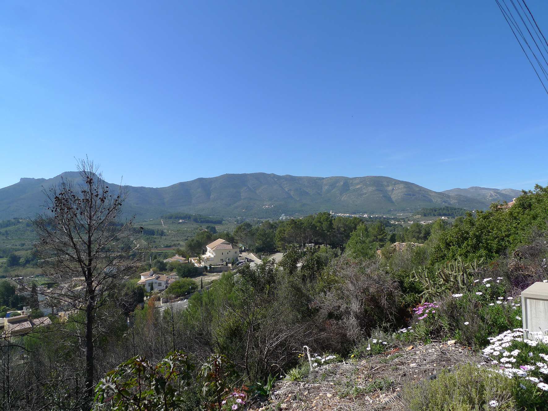 Land plot à Alcalali, Alicante, Espagne No. 183952