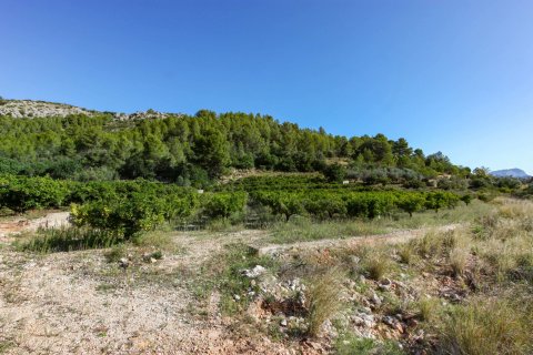 Zemes gabals pārdošanā Sagra, Alicante, Spānijā Nr. 183951 - attēls 5
