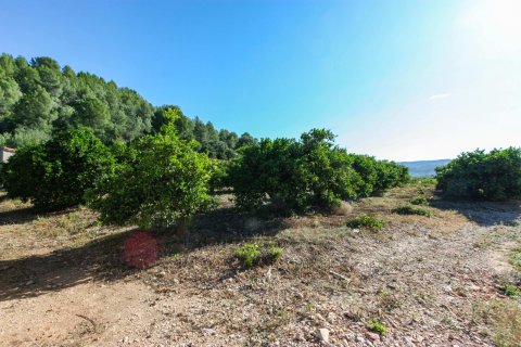 Zemes gabals pārdošanā Sagra, Alicante, Spānijā Nr. 183951 - attēls 3