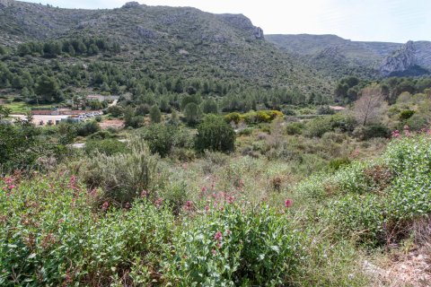Land zum Verkauf in Pedreguer, Alicante, Spanien Nr. 183950 - Foto 2