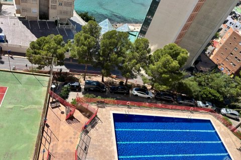 Lägenhet till salu i Benidorm, Alicante, Spanien 1 sovrum, 58 kvm. Nr. 168015 - foto 21
