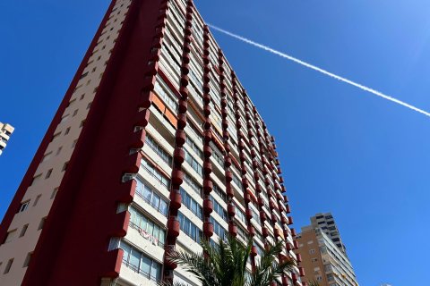 Lägenhet till salu i Benidorm, Alicante, Spanien 1 sovrum, 58 kvm. Nr. 168015 - foto 24