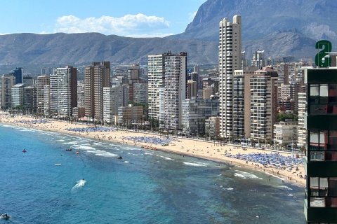 Lägenhet till salu i Benidorm, Alicante, Spanien 1 sovrum, 58 kvm. Nr. 168015 - foto 9