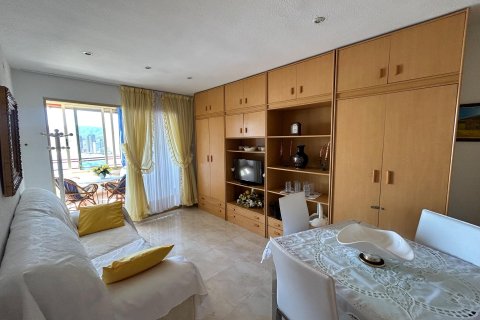 Lägenhet till salu i Benidorm, Alicante, Spanien 1 sovrum, 58 kvm. Nr. 168015 - foto 12