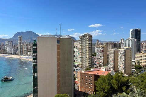 Lägenhet till salu i Benidorm, Alicante, Spanien 1 sovrum, 58 kvm. Nr. 168015 - foto 20
