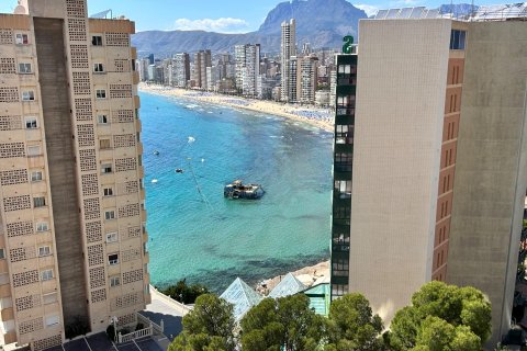 Lägenhet till salu i Benidorm, Alicante, Spanien 1 sovrum, 58 kvm. Nr. 168015 - foto 23