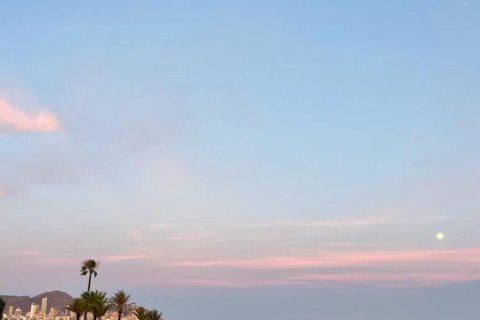 Lägenhet till salu i Benidorm, Alicante, Spanien 1 sovrum, 58 kvm. Nr. 168015 - foto 4