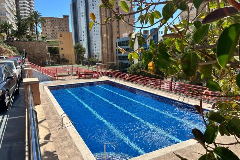 Lägenhet till salu i Benidorm, Alicante, Spanien 1 sovrum, 58 kvm. Nr. 168015 - foto 11