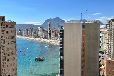 Lägenhet till salu i Benidorm, Alicante, Spanien 1 sovrum, 58 kvm. Nr. 168015 - foto 10