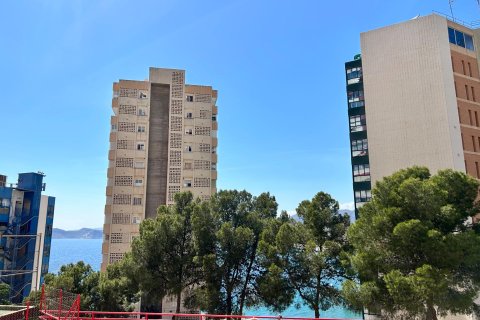 Lägenhet till salu i Benidorm, Alicante, Spanien 1 sovrum, 58 kvm. Nr. 168015 - foto 25
