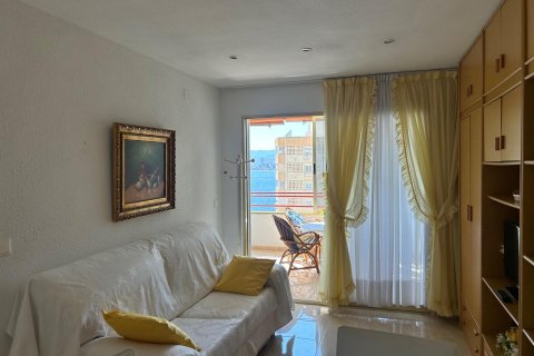 Lägenhet till salu i Benidorm, Alicante, Spanien 1 sovrum, 58 kvm. Nr. 168015 - foto 28