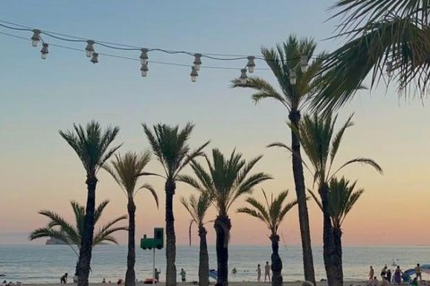 Lägenhet till salu i Benidorm, Alicante, Spanien 1 sovrum, 58 kvm. Nr. 168015 - foto 3