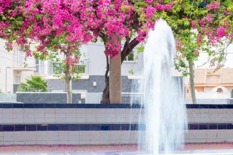 Dzīvoklis pārdošanā Torrevieja, Alicante, Spānijā 3 istabas, 205 m2 Nr. 155696 - attēls 3