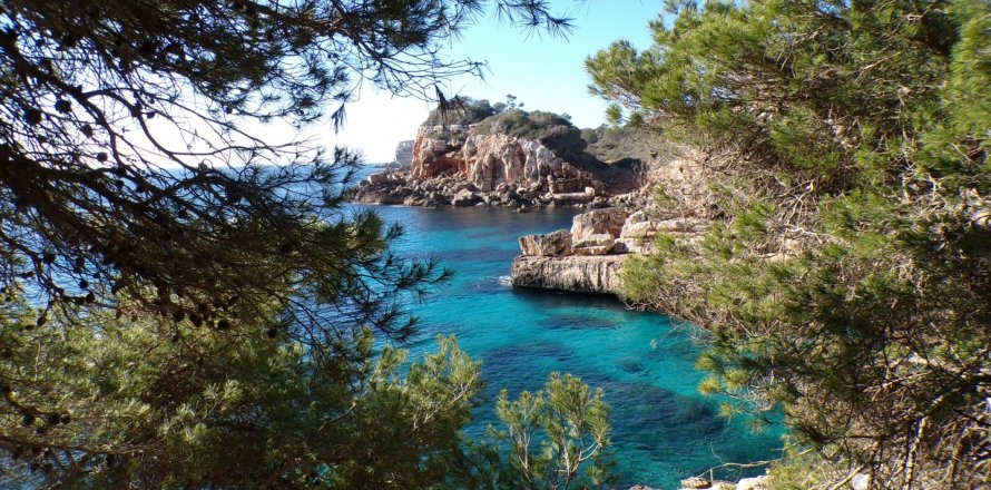 Дом в Сантаньи, Майорка, Испания 6 спален, 320м2 №153738