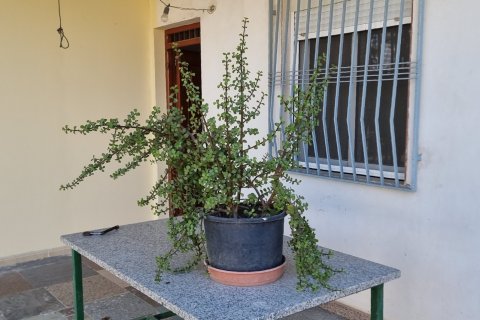 House zum Verkauf in Las Torres de Cotillas, Murcia, Spanien 3 Schlafzimmer, 210 m2 Nr. 185385 - Foto 12