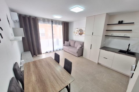 Huoneisto vuokrattavana Torrevieja, Alicante, Espanja, 1 makuuhuone, 84 m2 No. 142395 - kuva 1