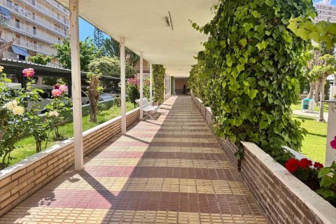 Apartamento en venta en San Juan, Alicante, España 2 dormitorios, 97 m2 No. 180446 - foto 24