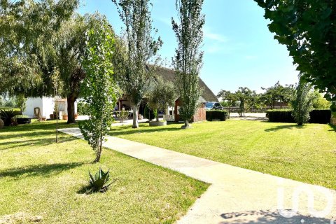 Dom w Sant Jaume d'Enveja, Tarragona, Hiszpania 3 sypialnie, 72 mkw. nr 153180 – zdjęcie 19