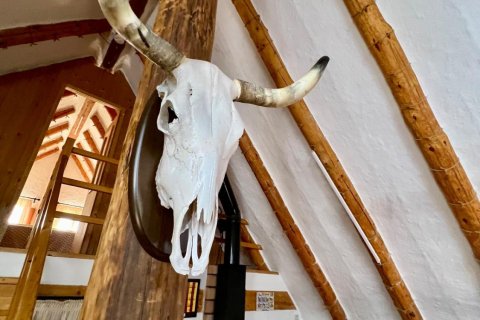 Dom w Sant Jaume d'Enveja, Tarragona, Hiszpania 3 sypialnie, 72 mkw. nr 153180 – zdjęcie 7