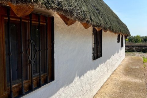 Dom w Sant Jaume d'Enveja, Tarragona, Hiszpania 3 sypialnie, 72 mkw. nr 153180 – zdjęcie 25