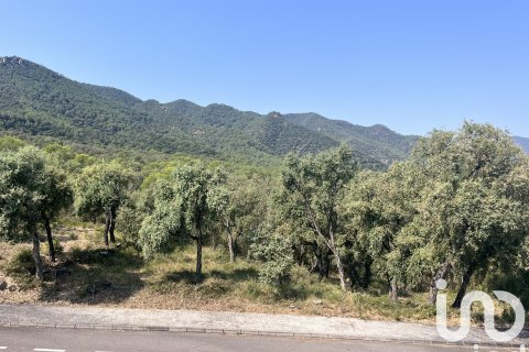 Продажа квартиры в Артана, Кастельон, Испания 480м2 №153183 - фото 3