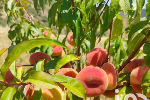 Casa in vendita a Casarabonela, Malaga, Spagna 2 camere da letto, 120 mq. N° 153178 - foto 20
